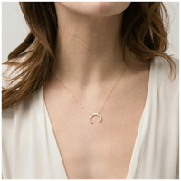 Horn Pendant Necklace